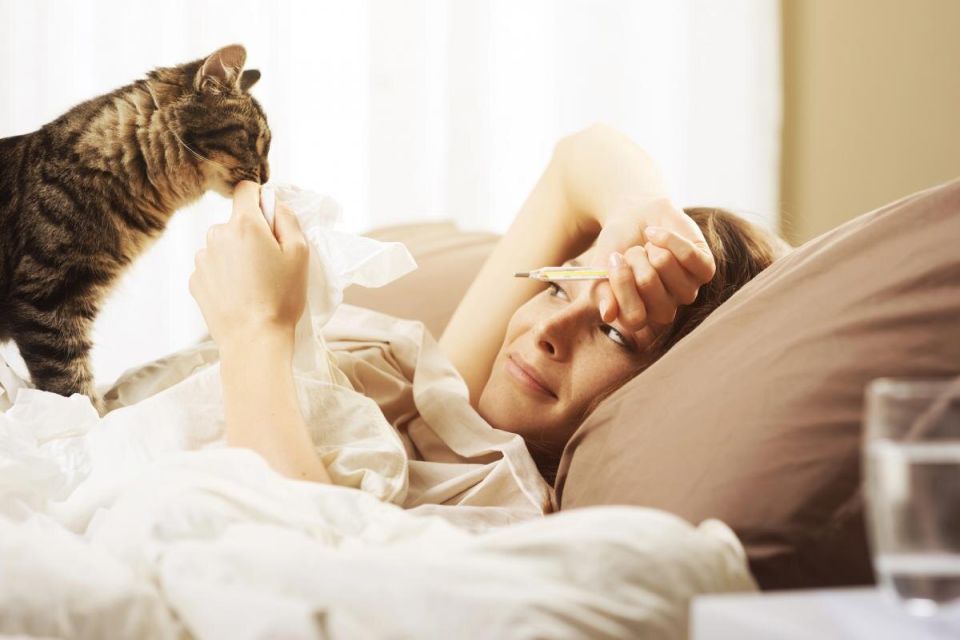 Как кошки могут распознать, когда их хозяева болеют: новое понимание связи с питомцем