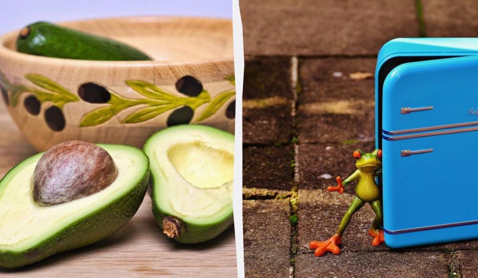 Как сохранить авокадо свежим: советы эксперта
