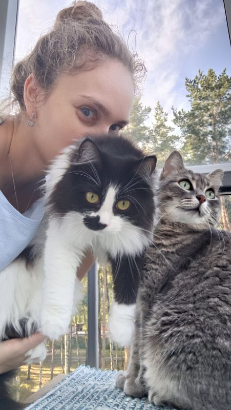 Кошки и кулинария: Как пушистые гурманы добавляют шарм в домашнюю эстетику