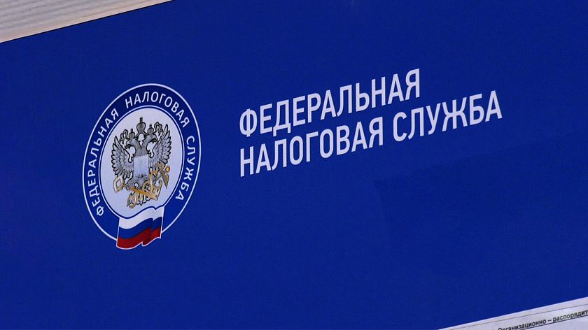 Новые законы с 1 ноября 2025 года