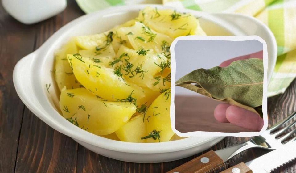 Искусство варки картошки: когда и как лучше всего ее солить