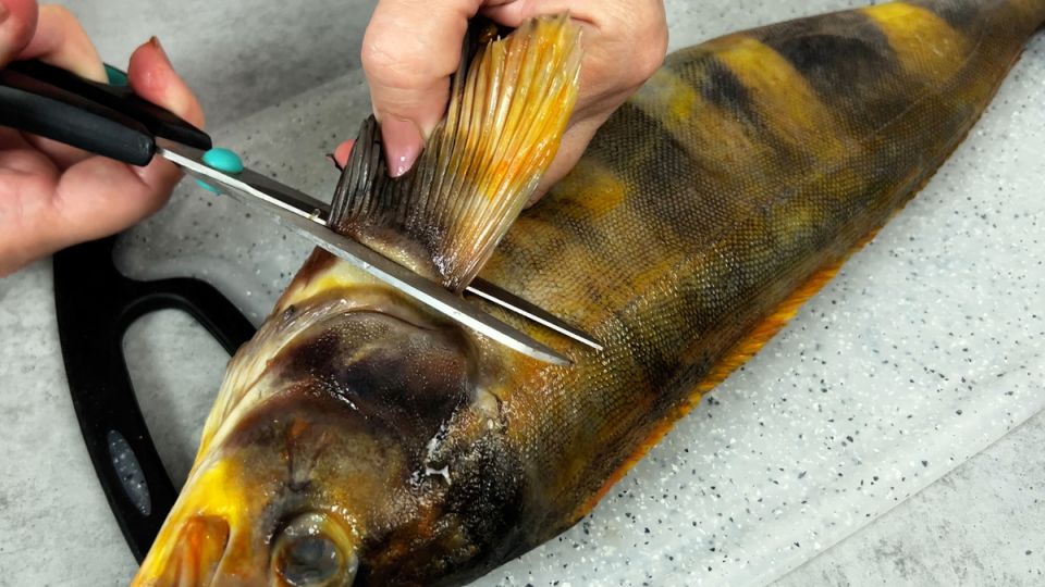 Покорите вкусы: простой рецепт запеченной рыбы с картофелем в духовке