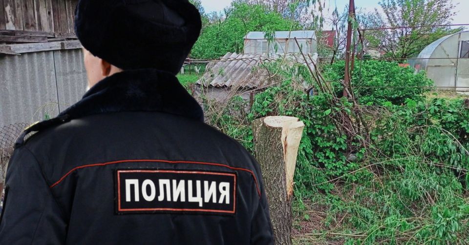 Штраф в 10 миллионов рублей: жительница Сочи расплатилась за вырубку деревьев на своем участке