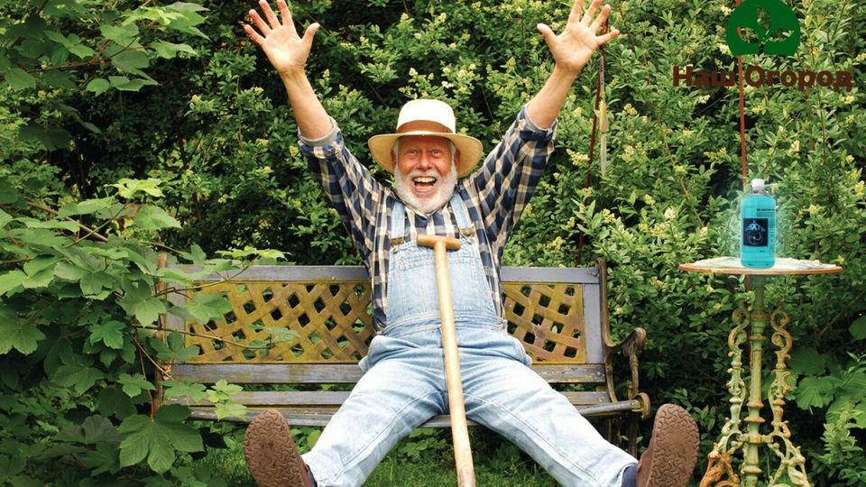 Государство освобождает дачников: новые налоговые льготы для пенсионеров