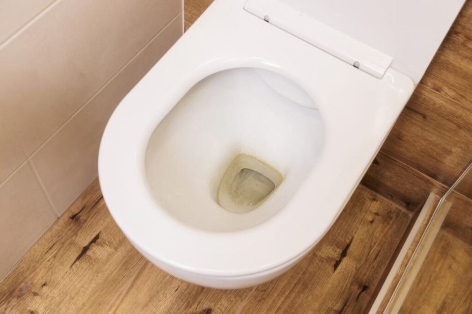 Эффективные способы борьбы с неприятными пятнами на унитазе