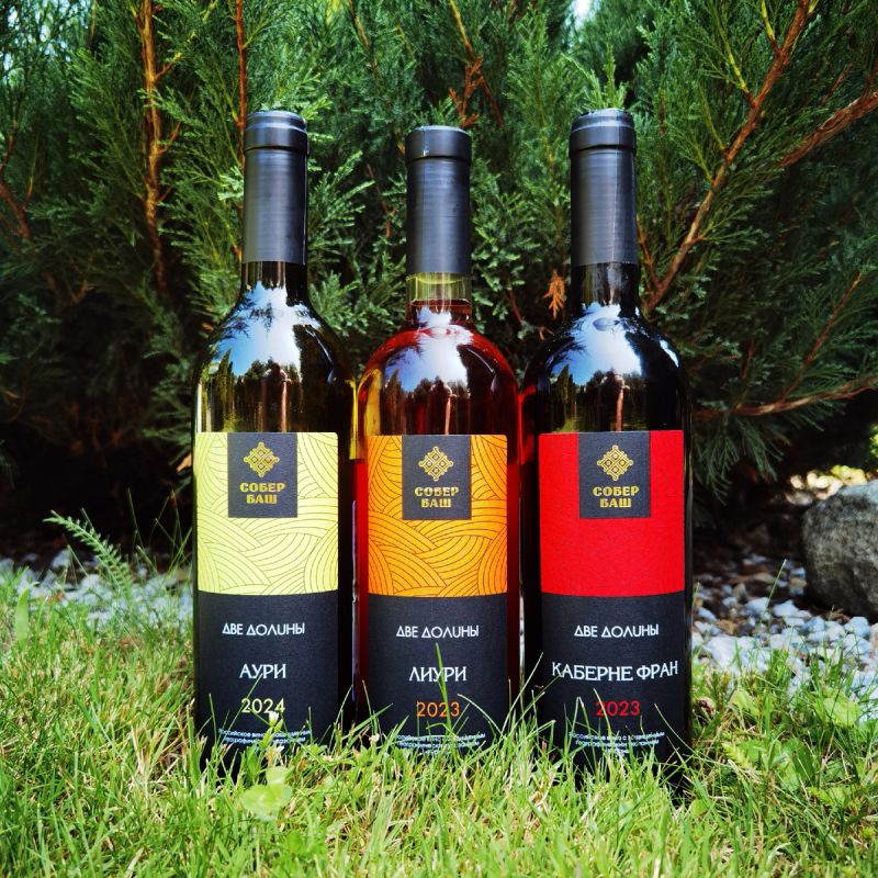 Открытие новых горизонтов: бюджетная линейка вин «Две долины» от Собер Баш в «Красном и Белом”