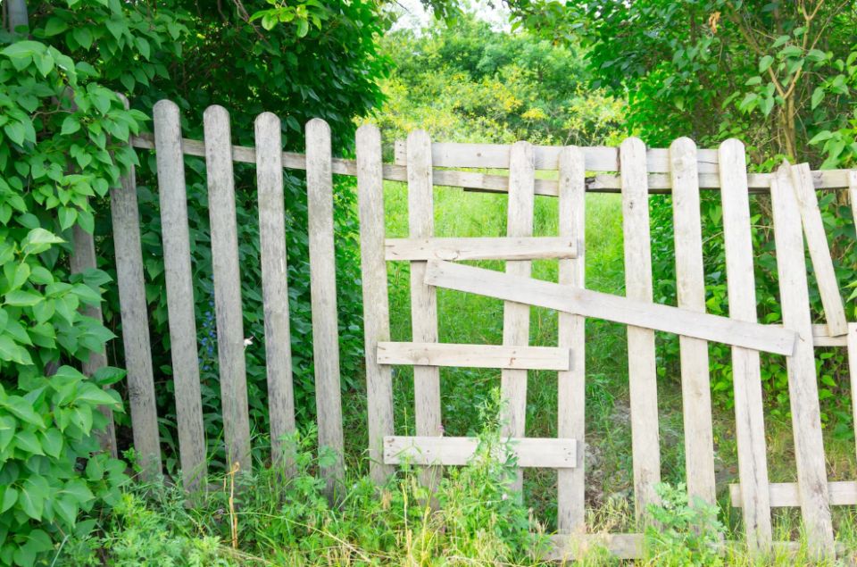 Уголовные угрозы на даче: Как избежать штрафов за нарушения