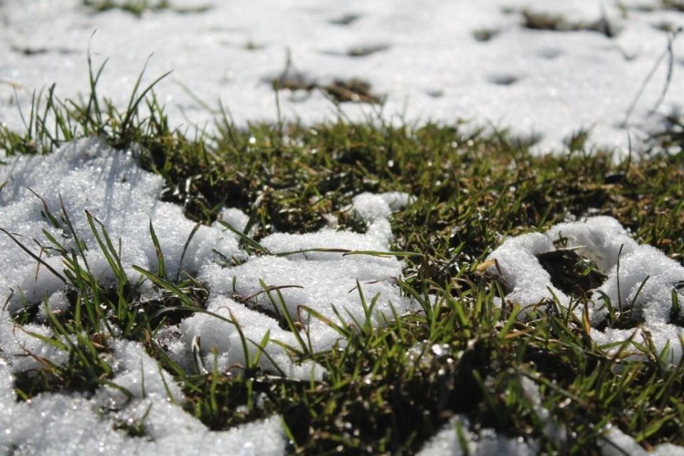 Как сохранить зеленый газон до зимы: секреты успешной подготовки