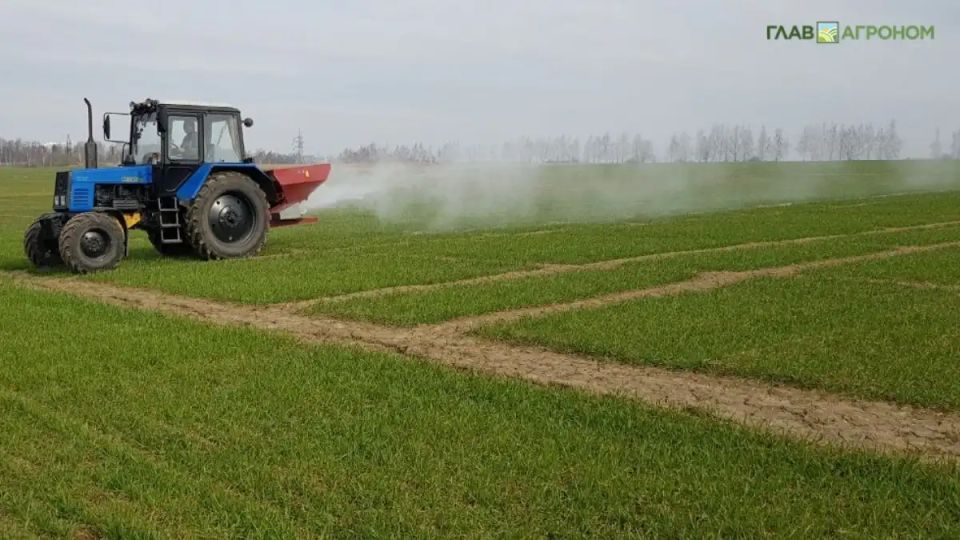 Как нехватка удобрений влияет на аграриев Кубани