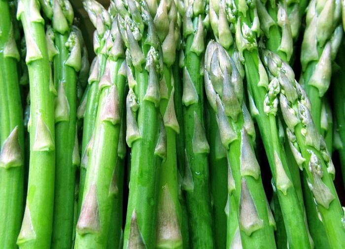 Секреты успешного выращивания спаржи