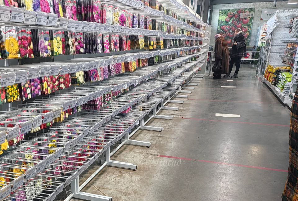 Необычный огурец, который завоевал сердца дачников: стоит ли его попробовать?