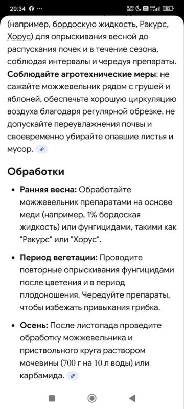 Как защитить можжевельник от ржавчины: советы по профилактике