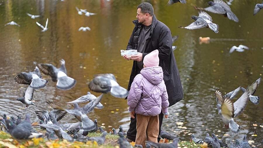 Досрочный выход на пенсию для многодетных отцов: новая инициатива вызывает обсуждения