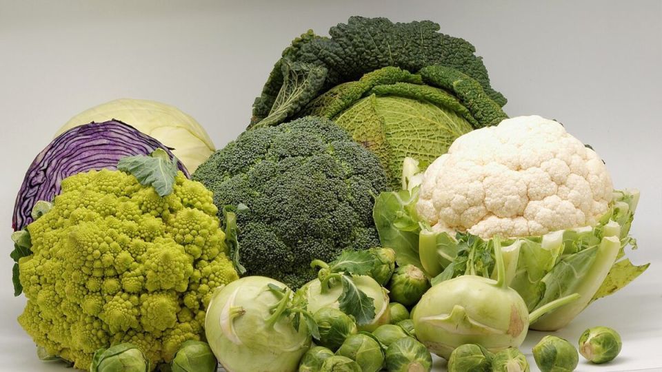 Крестоцветные растения и их враги: как защитить урожай от болезней