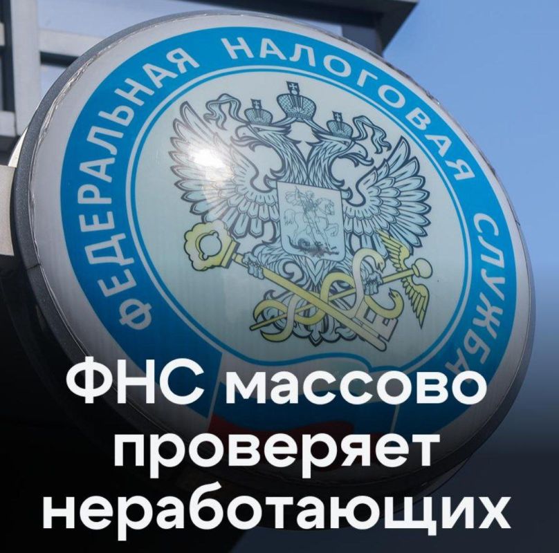 Как жизнь на широкую ногу без официальной работы вызывает подозрения налоговиков