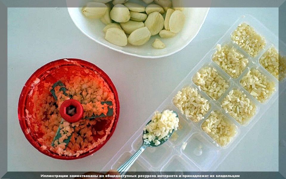 Август на даче: ключевые мероприятия для максимального урожая и здоровья растений