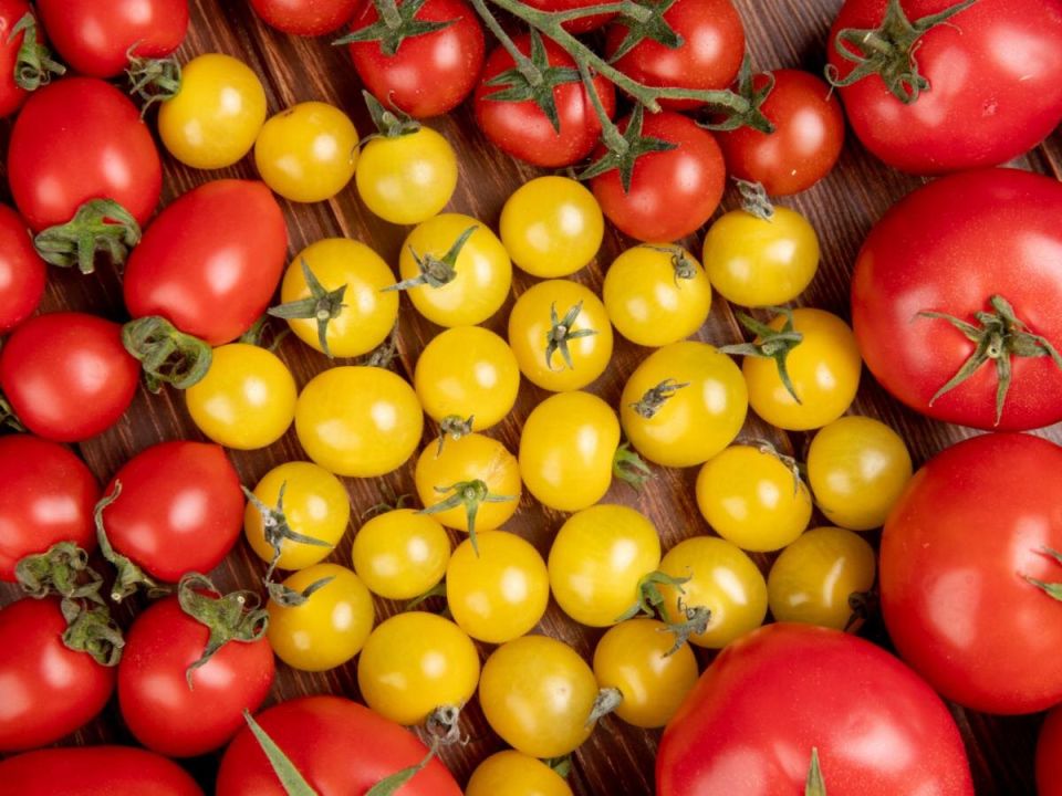 Томаты на балконе: секреты получения урожая прямо у вас под рукой