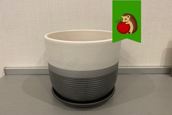 Керамические горшки для растений: преимущества и подводные камни