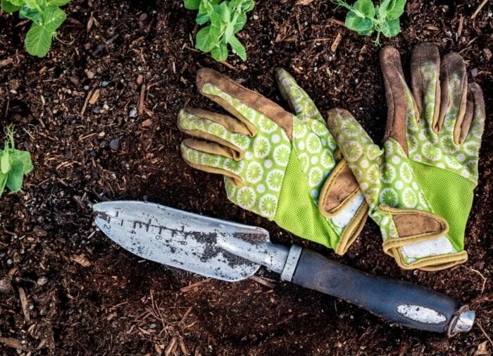 Как защититься от столбняка: советы по безопасности для садоводов и любителей природы