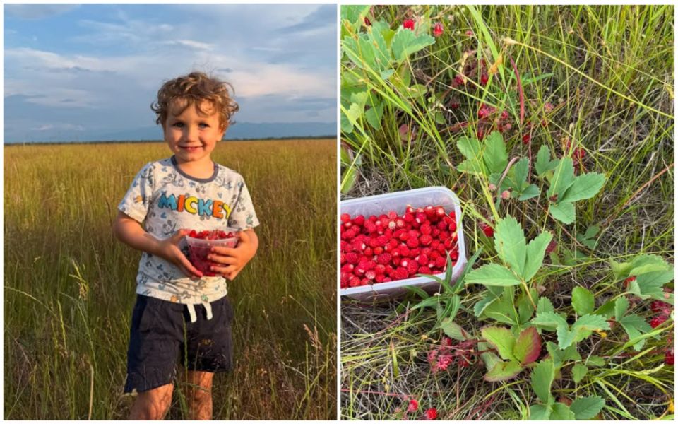 Аляска: уникальная жизнь на краю света