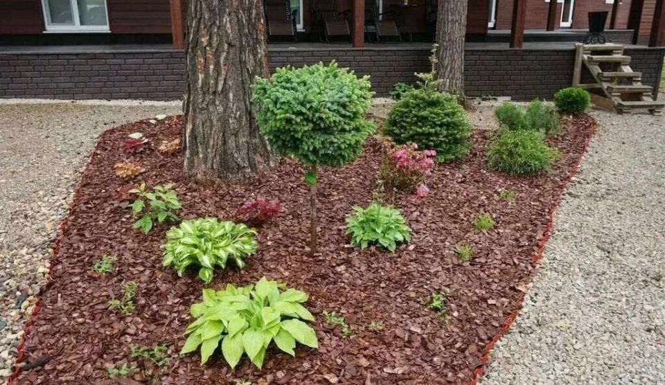 Экологичные стратегии по контролю влаги в саду