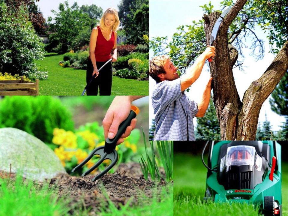 Тренды в садоводстве 2025: инновации, которые облегчают уход за растениями