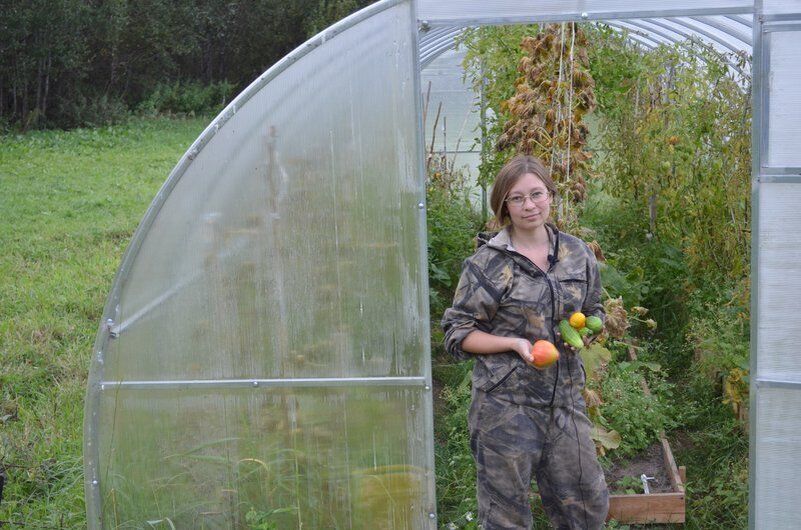 Как сохранить летние воспоминания: уход за помидорами в домашних условиях зимой