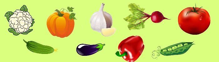 Севооборот: Как сохранить плодородие почвы и повысить урожайность