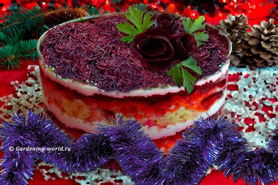 Салат со свеклой и курицей: идеальный зимний закусочный шедевр на ваш стол