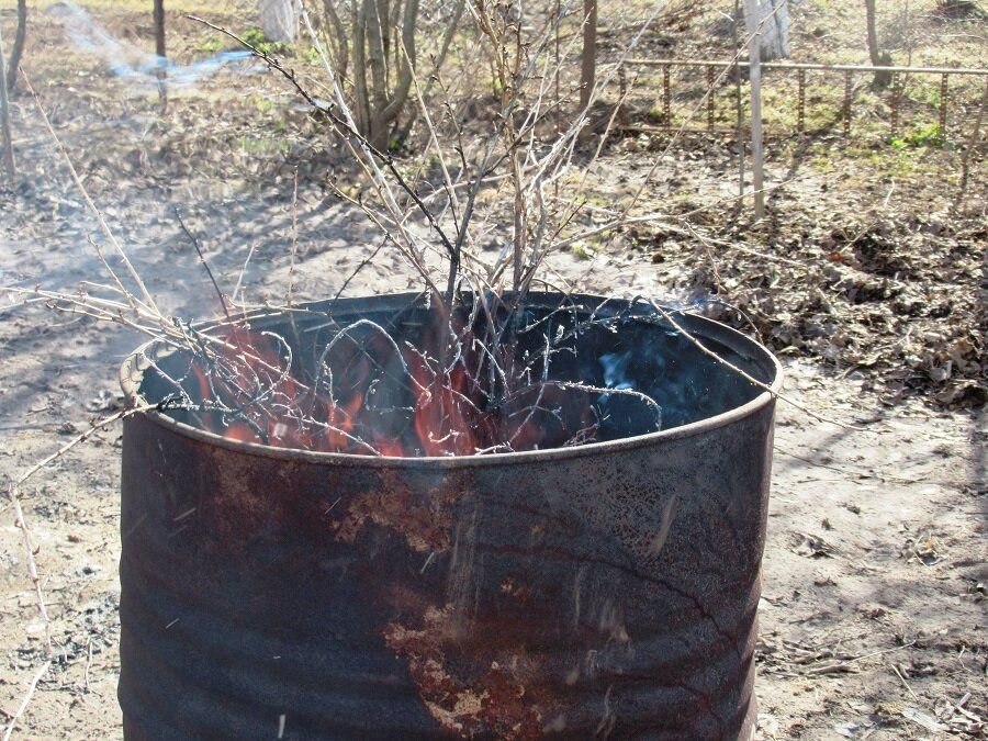 Сжигание садового мусора: вред или необходимость?