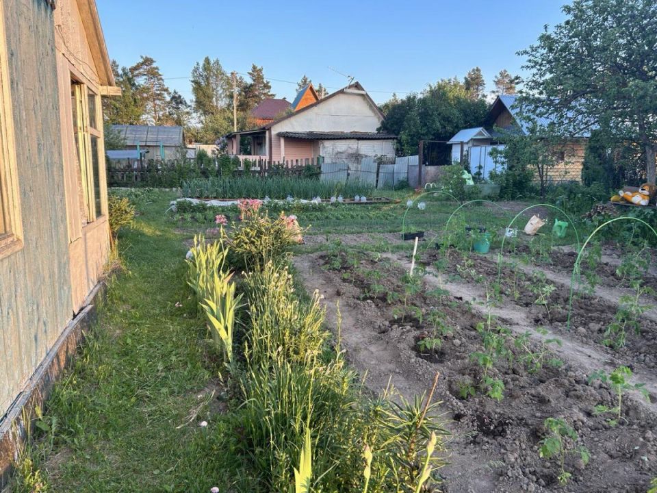 ��� ���������� �� ��������: ������� ������������� ��������� �����������