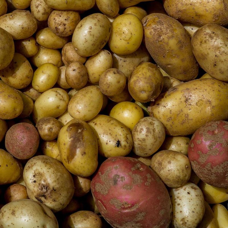 ������������� ������ � ������� ���������: ��� �������� ������ � ��������� ����