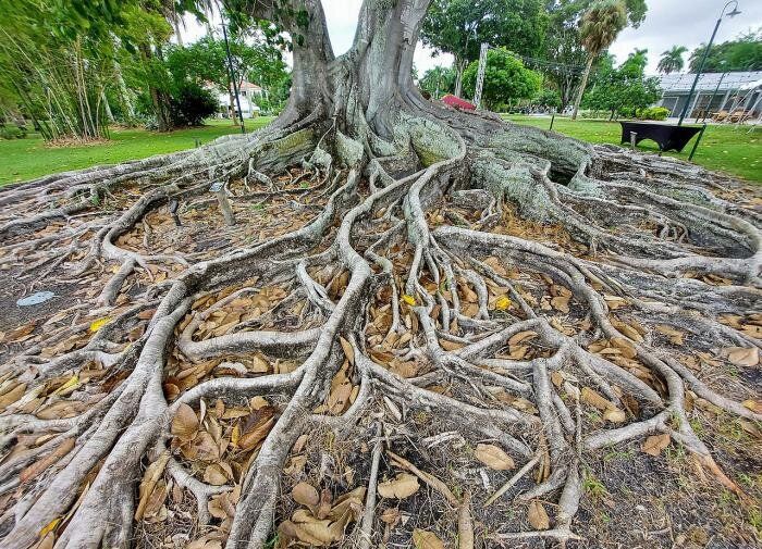 ��� �������� ������ �� �������������� ������ ��������: ������� ������� ��� ��������