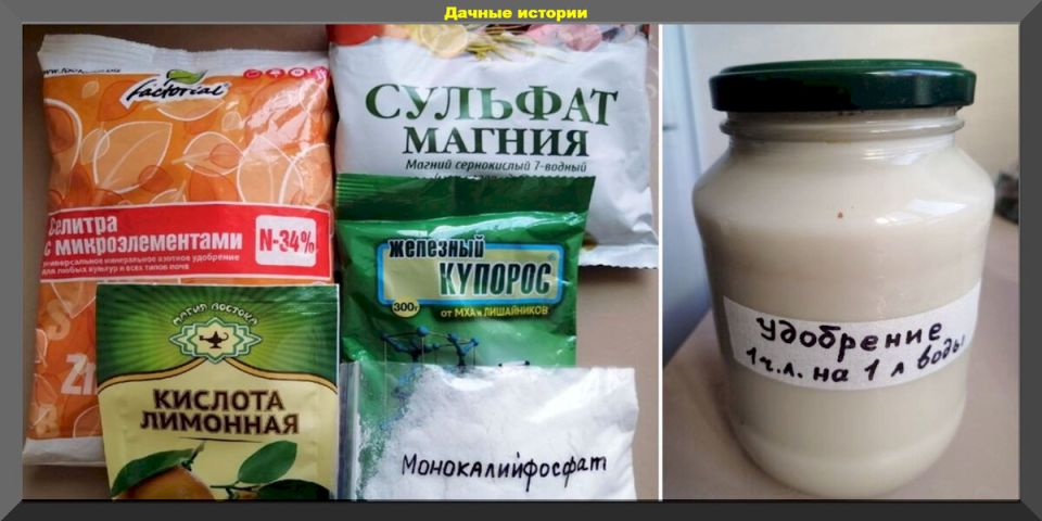 Создание органического стимулятора роста: эффективный подход для садоводов