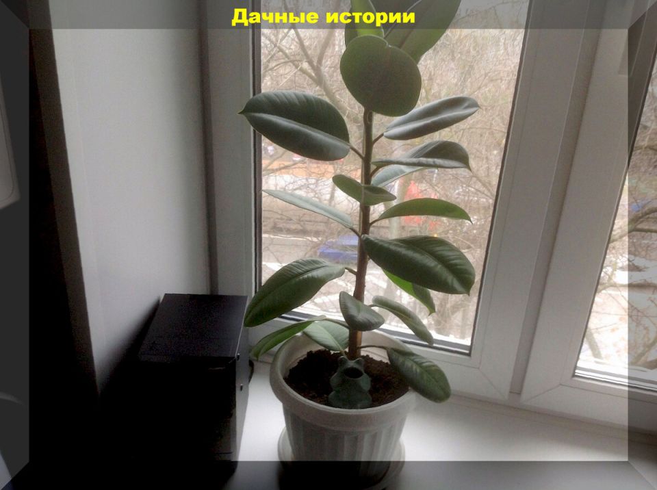 ��� ��������� ����� � ������ ����: �������� ������ ��� ����������