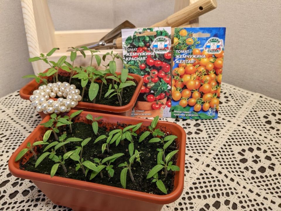 Как цветы и овощи создают уникальный уют на огороде