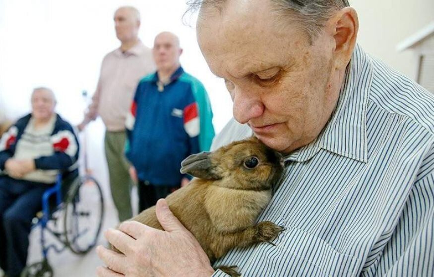 Госдума призывает к переменам: налоги и поддержка граждан под вопросом