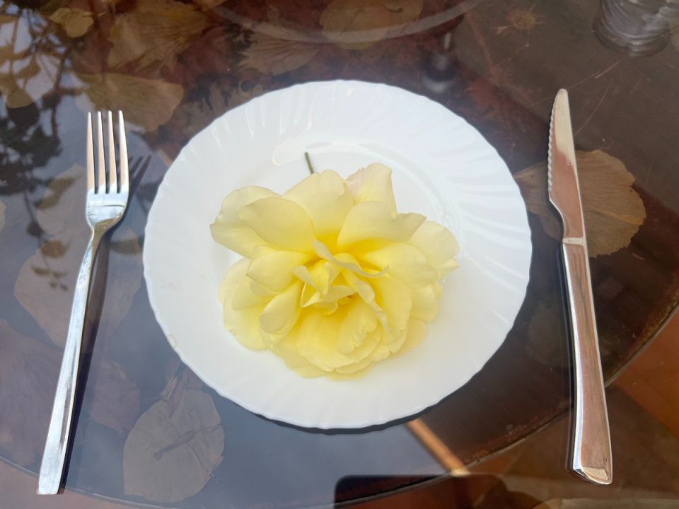 Кулинарные розы: как создать гастрономическую коллекцию у себя в саду