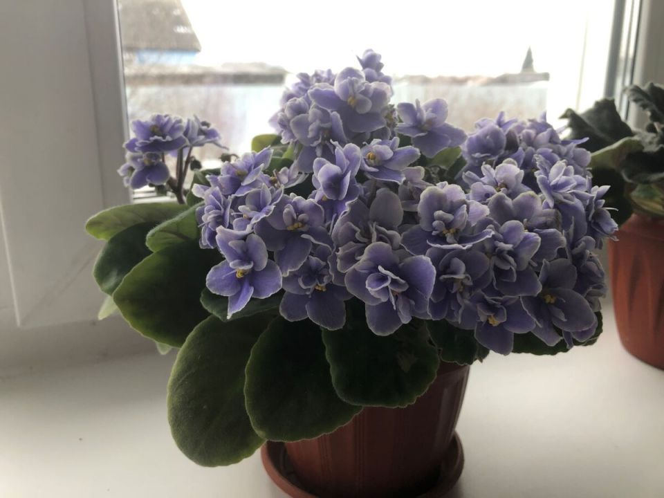 ������� ���������� �������� ������: ��� ����� ���� �� ���?