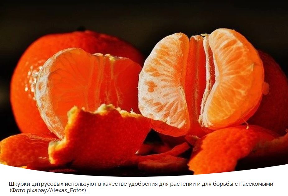 ���� ��������: ��� ������������ ������ ��� ��������� � ������ � �����������?