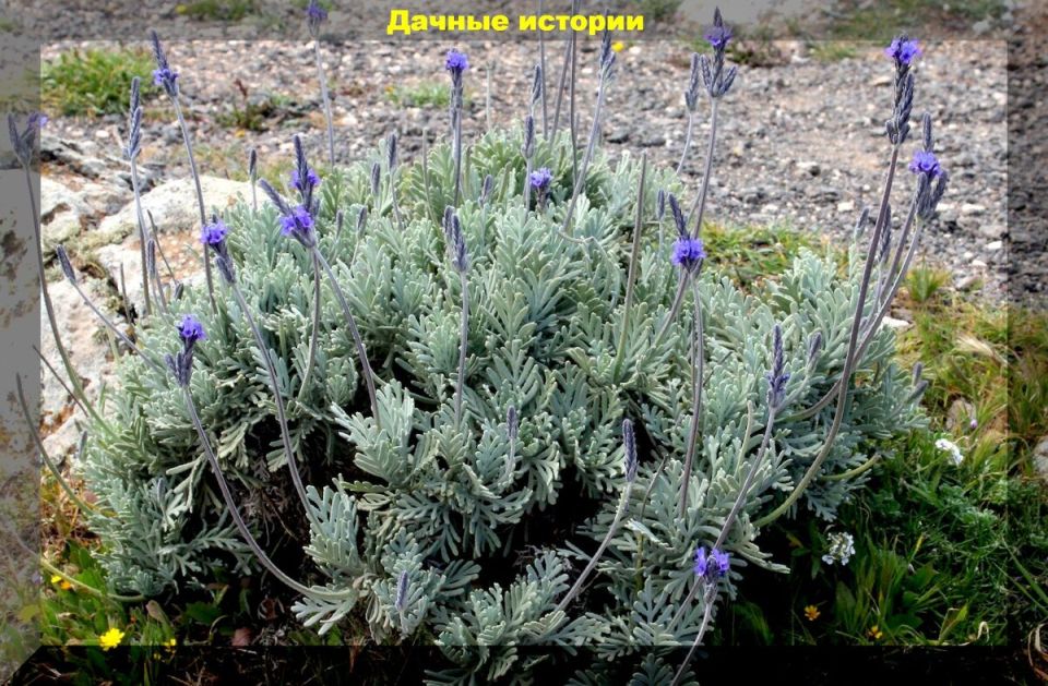 ��������� �������� ��� ������ ������� � ����� ����