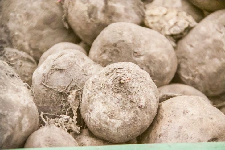 ��� ����������� ��������� ��������: 5 �������� �� ������