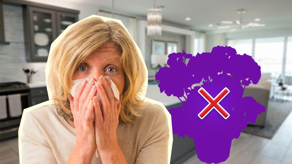 �������� ��������: �� �� ��� �� �������� ���� ��� ��������, ���� � ��� ��������