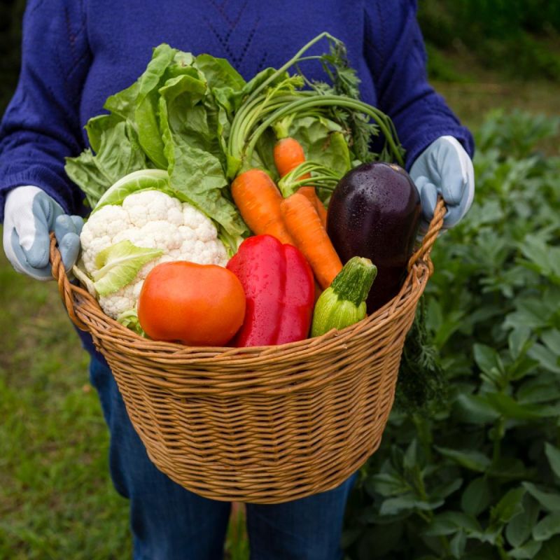 ������� ��������: ��� �������� ����� ��������� ��������� ����������� ���������