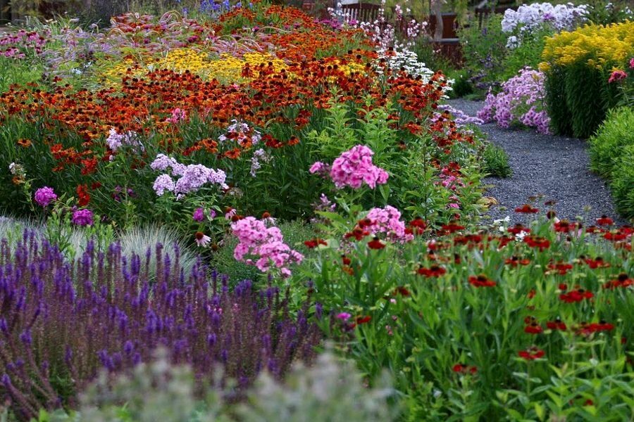 ��� �� ��� ������ ������� ����������� �������: ������������ �����������