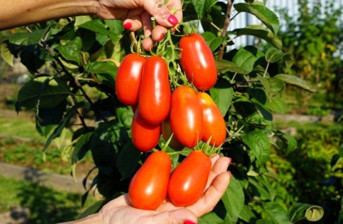 ������ � ���������� ������: ��������� ������� ����� ������������ �������