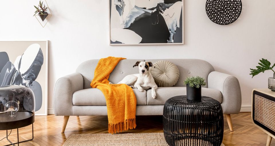 ��������� ����� �� �����: ����� ����� ������� �������������?