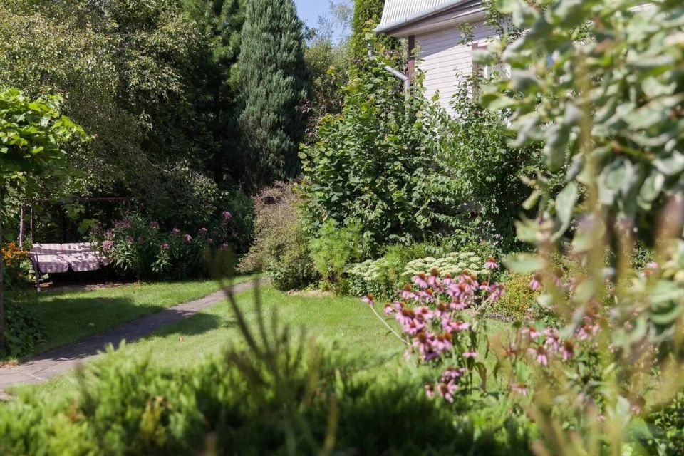 ��� ������� ��� ��� ����: ������ ������ � ����� ������� ���