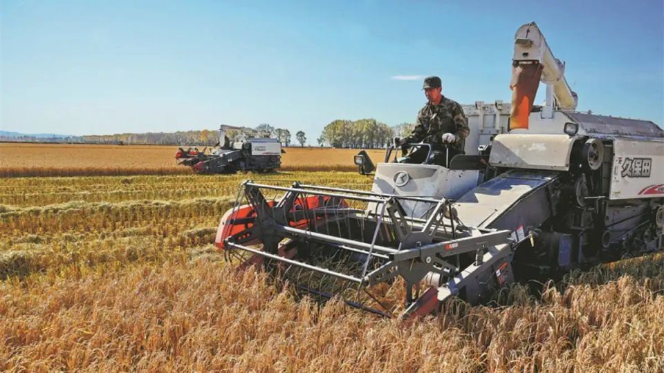 ����� ������������� ������� � �����������