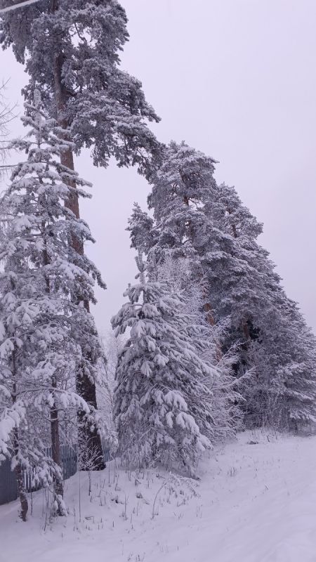 ����� ��� ��� �������������� �����������: ������ � ������� � ����������� ������